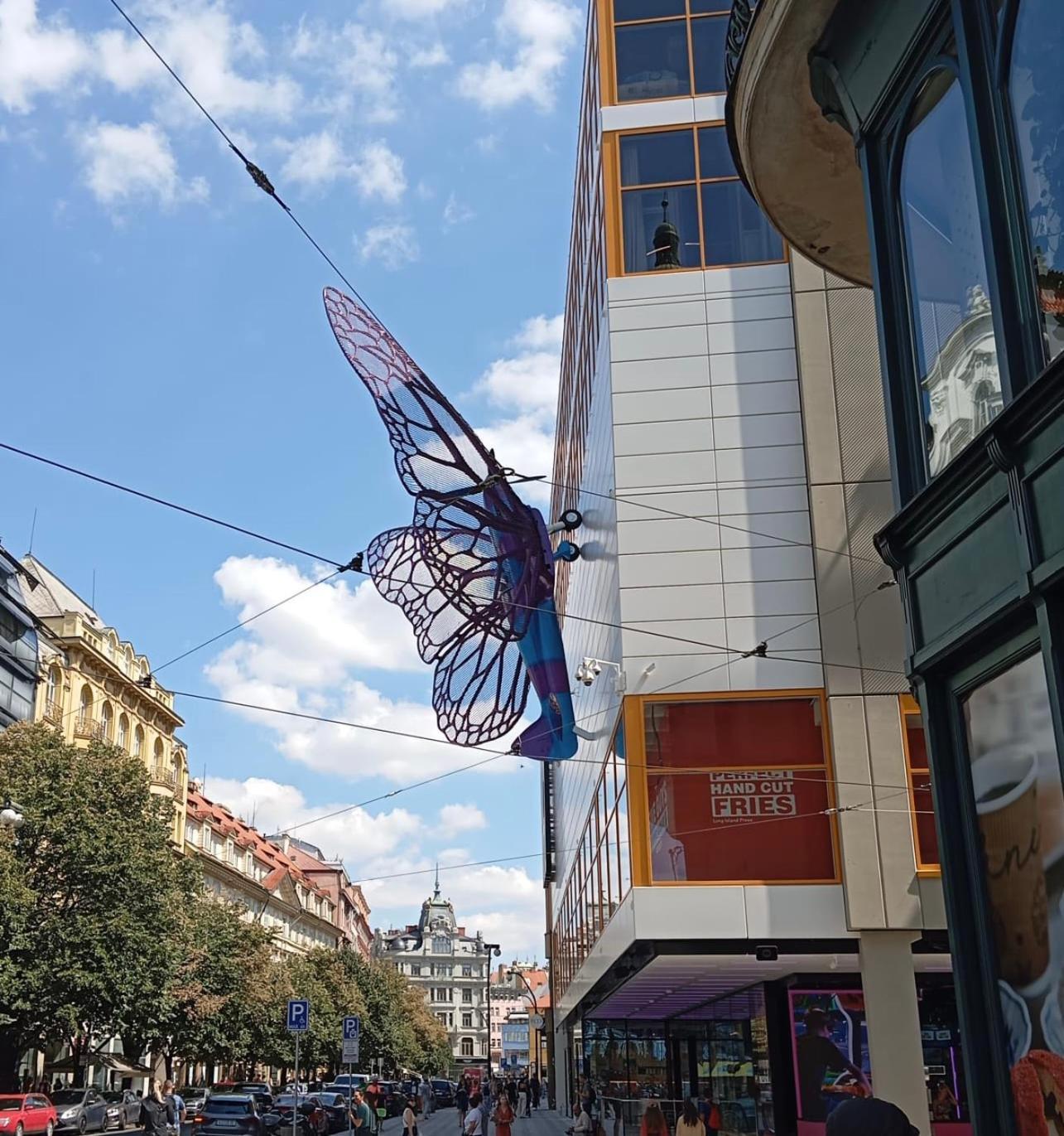 Centrum House Prázdninový dům *